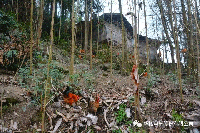 精准扶贫送温暖 必赢亚州242.net真情暖人心(图10)